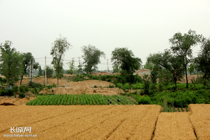 　拆除的旧村正在复耕。 郑建卫 摄