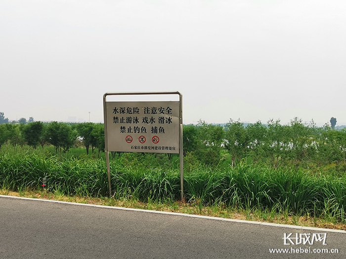 河边每隔几十米就有一块警示牌，提醒人们注意安全。长城新媒体记者 周亚彬 摄