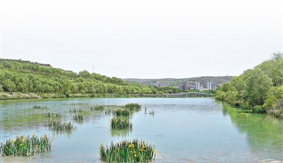 河畅水清岸绿景美