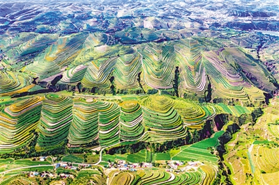 如画美景入眼来