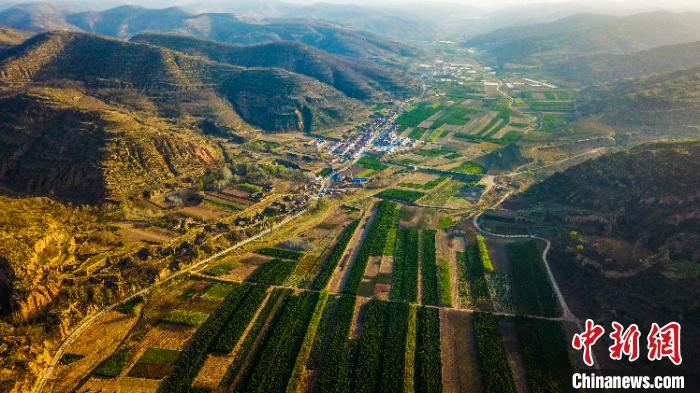 庆阳市宁县盘克镇前渠村育苗基地（资料图）　陈飞摄