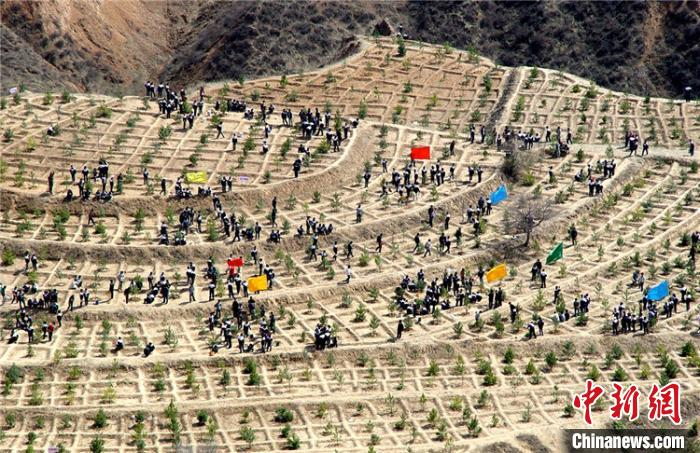 庆阳市西峰城区职工春季义务植树现场（资料图）　徐亚东摄