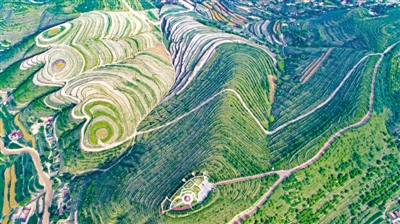 彭阳县金鸡坪田园综合体