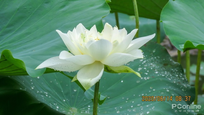 图8 自动修图后