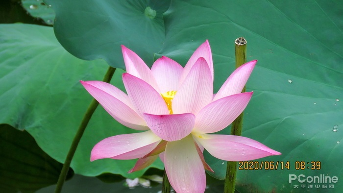 图6 自动修图后