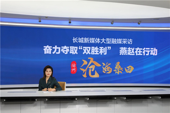 长城新媒体记者云端采访。