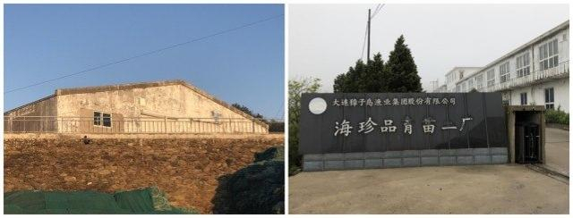 注：左图为育苗一厂，右图为育苗二厂 记者摄