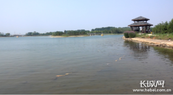 公园一角。 张荣鹏 摄