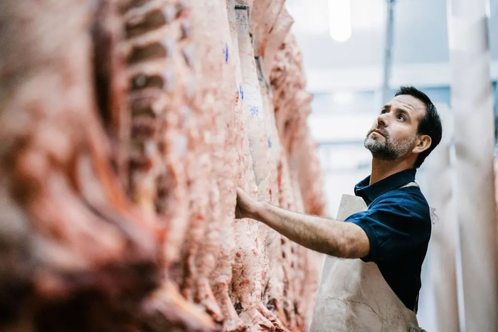 图片来源：视觉中国