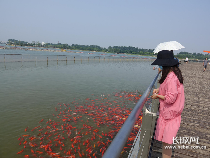 游客在龙泉湖游玩。 张荣鹏 摄