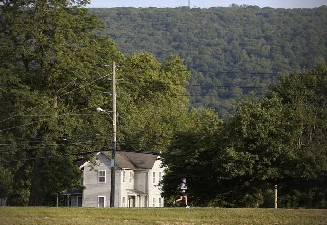 图片来源：News4Jax