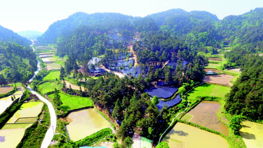 航拍凯里市三棵树镇赏朗红托竹荪种植基地  杨自建摄