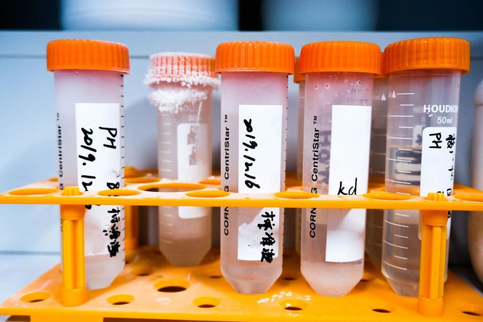 实验制剂 吴斯洁摄