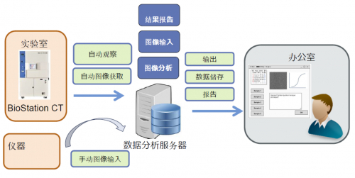 尼康的定制化细胞解决方案