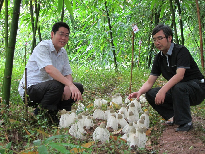 中国林科院亚林所竹类专家谢锦忠研究员（右）