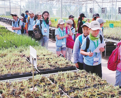 孩子们在库布其沙漠亿利生态示范区参观  资料图片