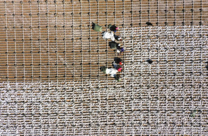 　　4月16日，宁夏石嘴山市星海湖湿地的生态修复现场。近年来，宁夏石嘴山市不断加强湖泊湿地生态环境综合治理，坚持以水生态修复为基础，以水质改善为核心，实施水系连通、水生植物种植、生态补水、岸线综合治理等项目。图/ 新华