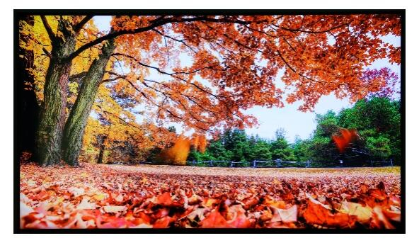 X9100H图像模式设置为“电影”