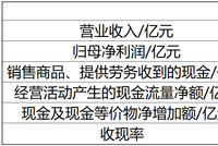 南亚新材冲关IPO：研发投入偏低、重要产品尚未产业化