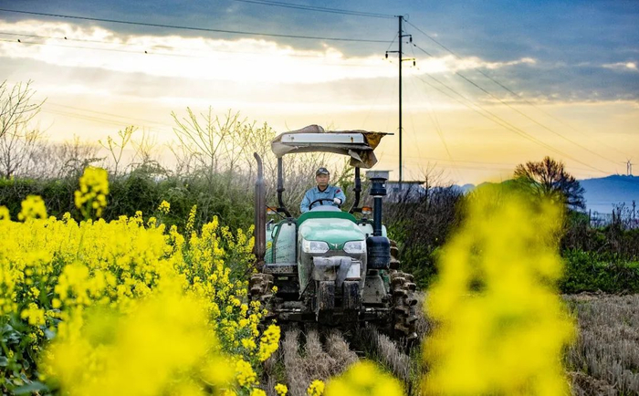 ▲ 九江市湖口县均桥镇种粮大户正在翻耕早稻田。图/人民视觉