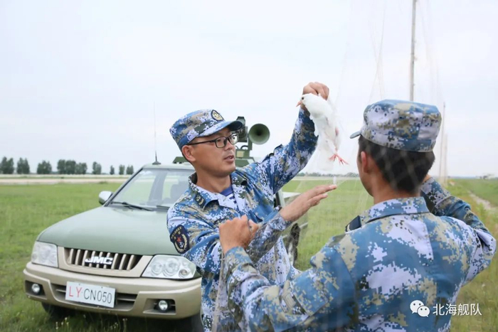 ▲他们对误入粘鸟网的小鸟进行摘下放飞