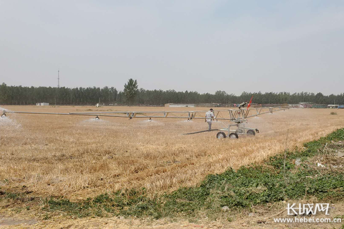 土地托管后，进行机械化作业。