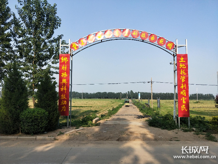 白木村3722亩耕地全部托管。