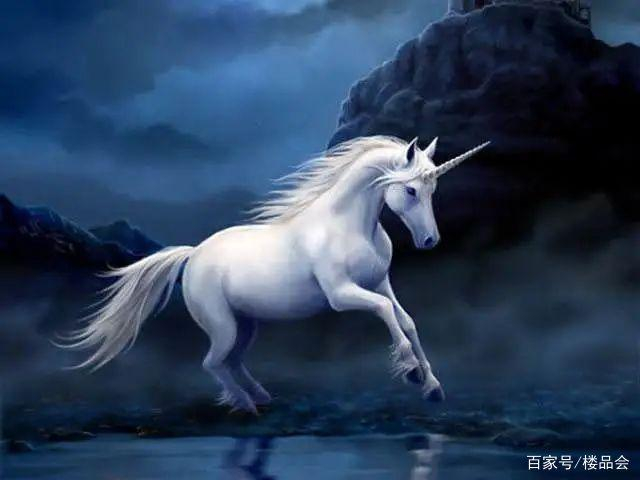 传说中的独角兽（图片来源网络，侵删）