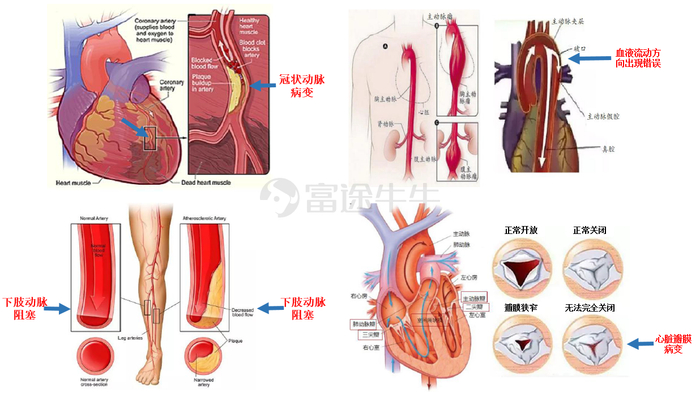数据来源：谷歌学术，富途证券整理