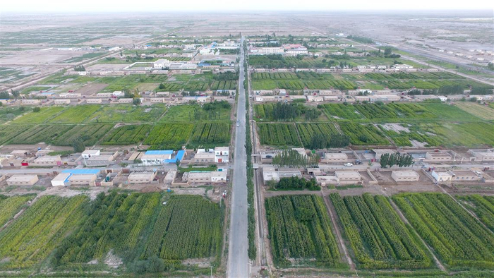 图为新草湖乡全貌航拍。吐逊·吾斯曼 摄