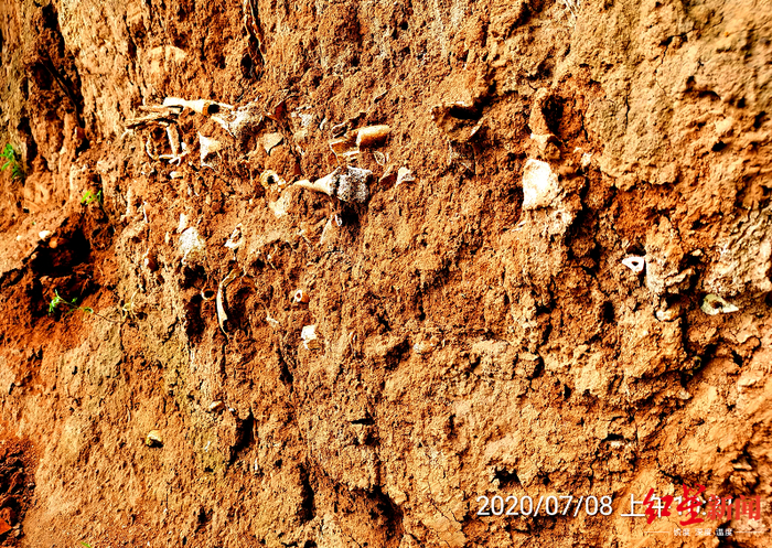 7月8日发现的疑似长平之战尸骨坑&nbsp;郭庭荣供图