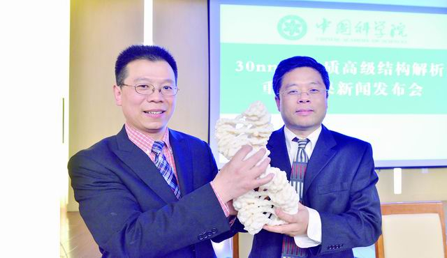 ③研究员李国红（左）与研究员朱平在30纳米染色质纤维结构发布会上