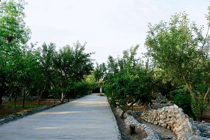 马兴国在西马银的住所由庄院、果园两部分构成，占地近4亩。本版摄影/本刊记者 黄孝光