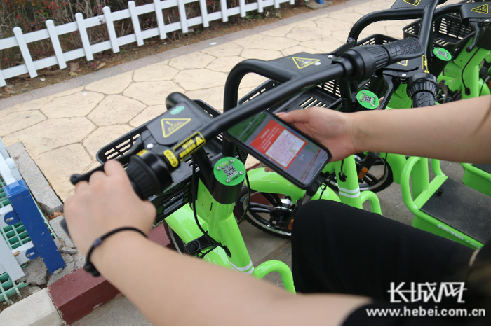 共享电动车在安平县投放运营。王格 供图