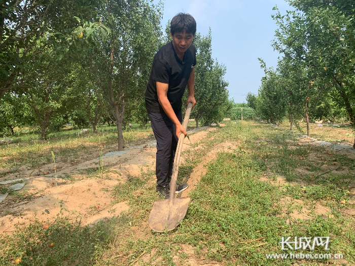 　李山峰在整理田地。刘杨 摄