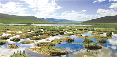 照片由张海东、省生态办提供