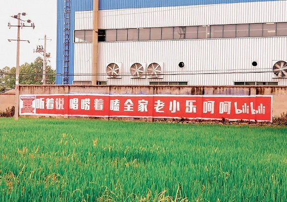 B站的刷墙广告，图源《说唱新世代》官方微博