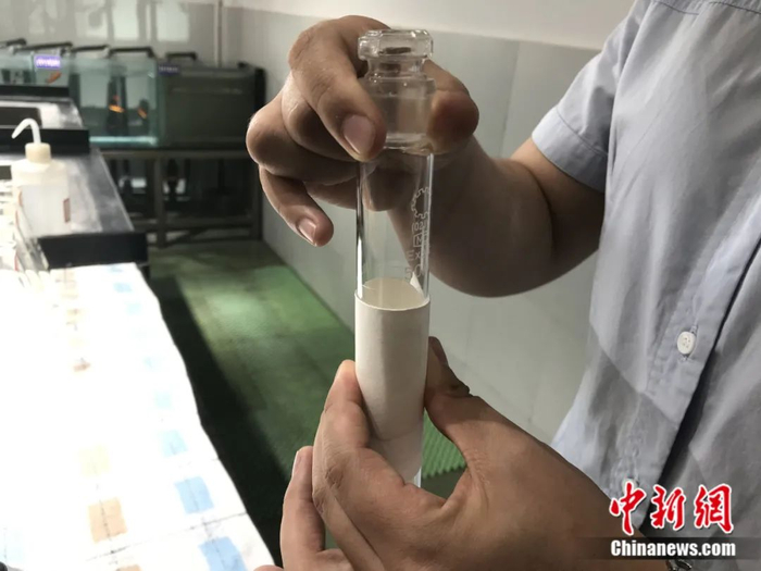 “品水师”工作中。吕杨 摄