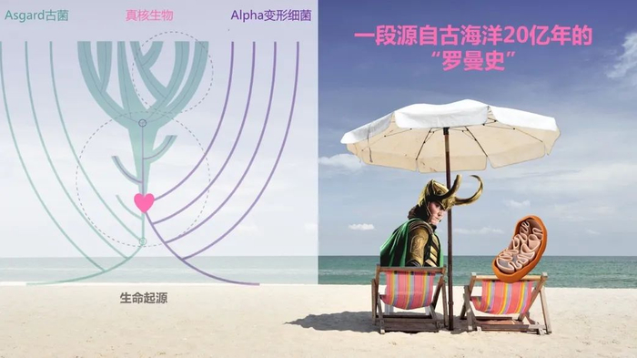 图1. 真核细胞起源于约20亿年前古菌和细菌细胞的融合（图片改编自：Roger 2017 Current Biology）