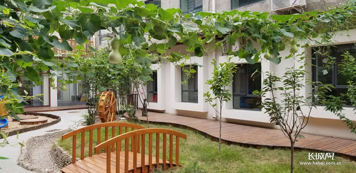 幼儿园园舍改造与绿色庭院建设紧密结合。