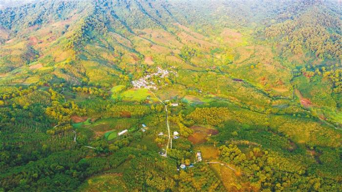 俯瞰白沙青松乡斧头岭山下的苗村  记者 李天平摄