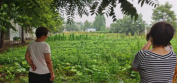 苏银霞（左）和女儿于家乐看着菜地。 郑子愚 摄