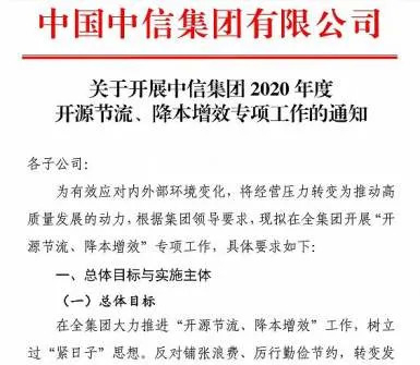 中信集团相关文件，图源网络