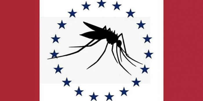 “蚊子旗”&nbsp; 外媒公布图片，下同