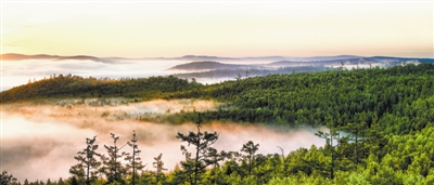 内蒙古大兴安岭林区是我国面积最大、集中连片、保存完好的重点国有林区。