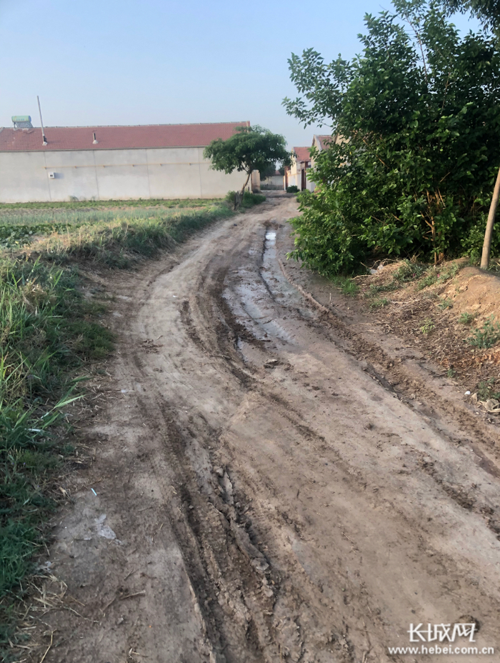 沧州市海兴县小山乡后王文村泥泞的道路。网友供图