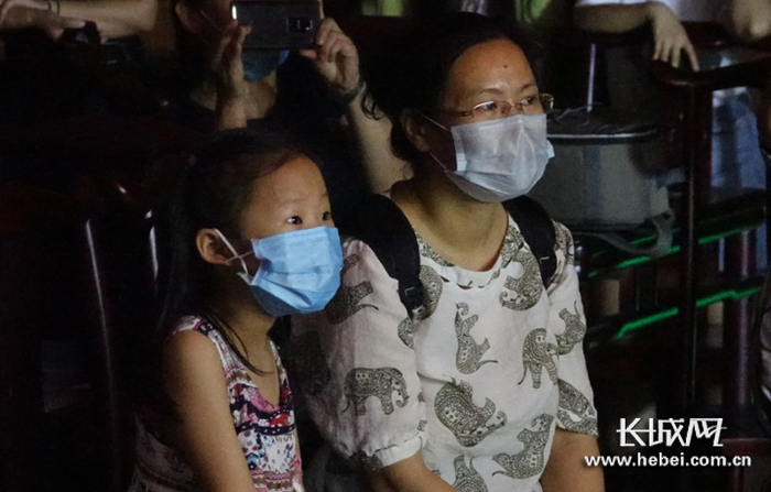 皮影戏吸引了家长和孩子前来观看。长城网记者 许晓星 摄