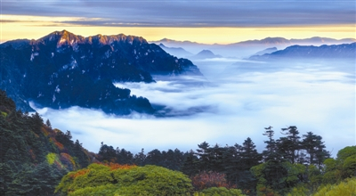 阴峪谷峡谷相对高差2000多米，峡谷两侧的中山地带是神农架金丝猴最喜欢的天然栖息地之一。 徐欣摄