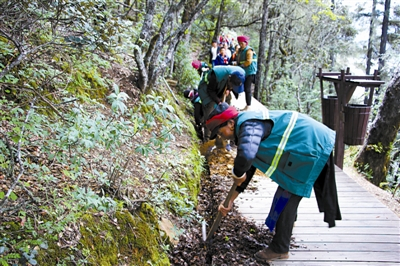当地居民参与试点区管理