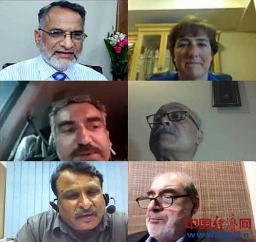 　　图为部分发言者截屏